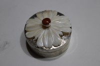/album/galleria-fotografica/img-2365-jpg/
