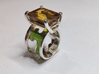 /album/galleria-fotografica/1000021681-jpg/